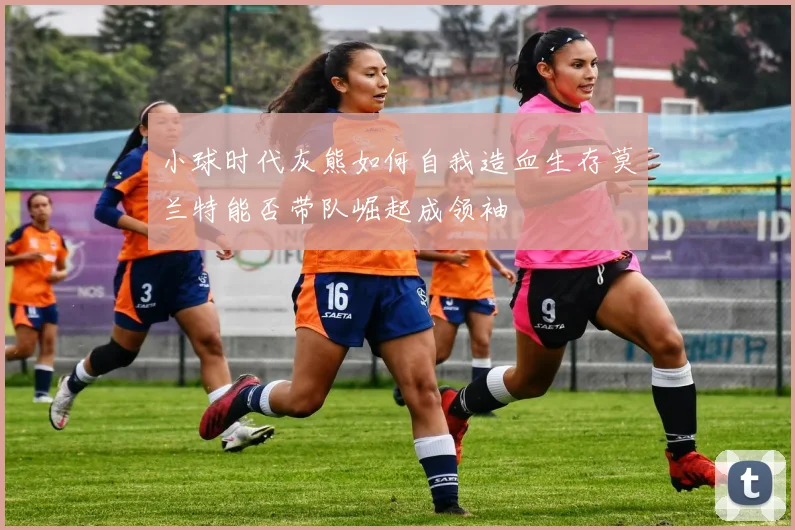 小球时代灰熊如何自我造血生存莫兰特能否带队崛起成领袖
