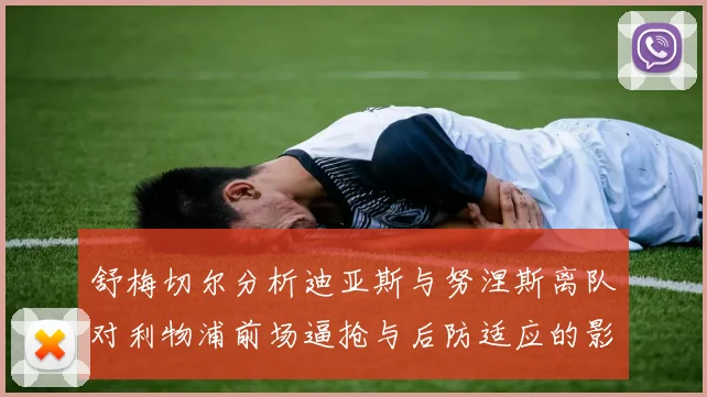 舒梅切尔分析迪亚斯与努涅斯离队对利物浦前场逼抢与后防适应的影响