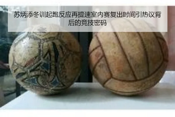 苏炳添冬训起跑反应再提速室内赛复出时间引热议背后的竞技密码